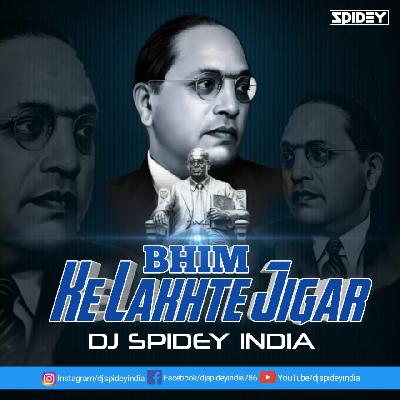 Bhim Ke Lakhte Jigar - Clap Mix 2020 - Dj Spidey India